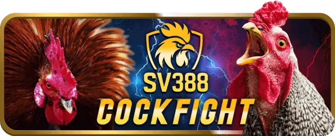 Cá cược thể thao đẳng cấp tại manclup win